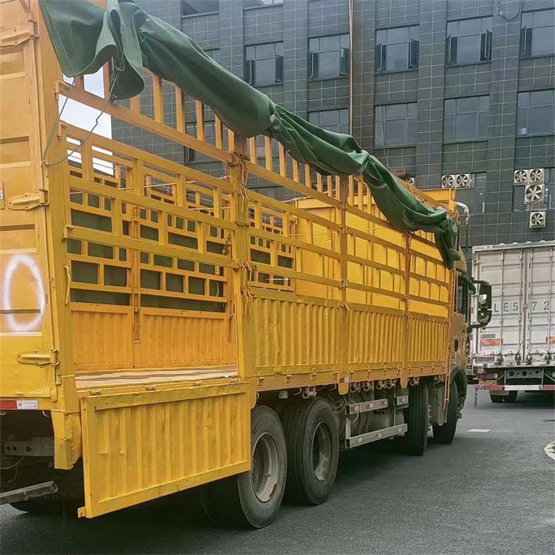 河北邢台沙河至宜宾货运专线一站式物流服务，让货物畅行无忧
